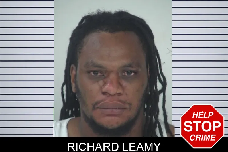 Richard Leamy mugshot – Fayette County , Georgia Richard Leamy mugshot
