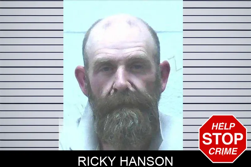 Ricky Hanson mugshot