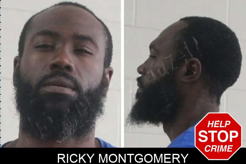 Ricky Montgomery mugshot