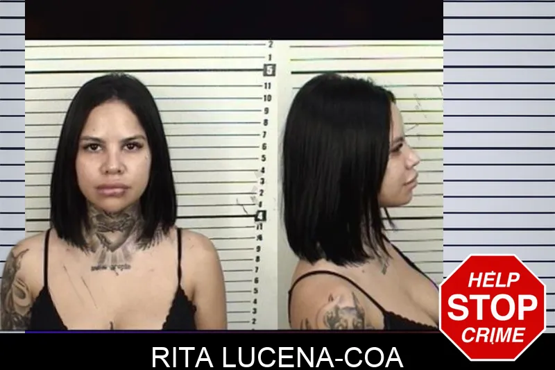 Rita Lucena-Coa mugshot – Camden County , Georgia Rita Lucena-Coa mugshot