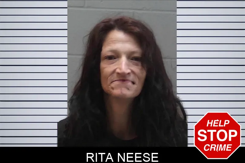 Rita Neese mugshot