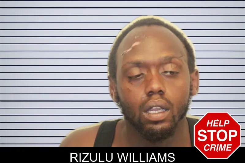 Rizulu Williams mugshot – Chatham County , Georgia Rizulu Williams mugshot