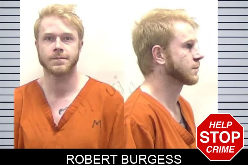 Robert Burgess mugshot