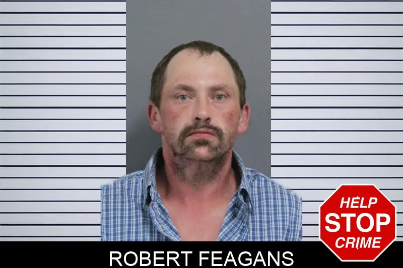 Robert Feagans mugshot
