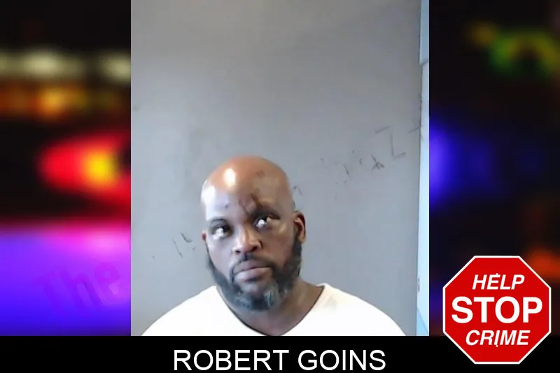 Robert Goins mugshot