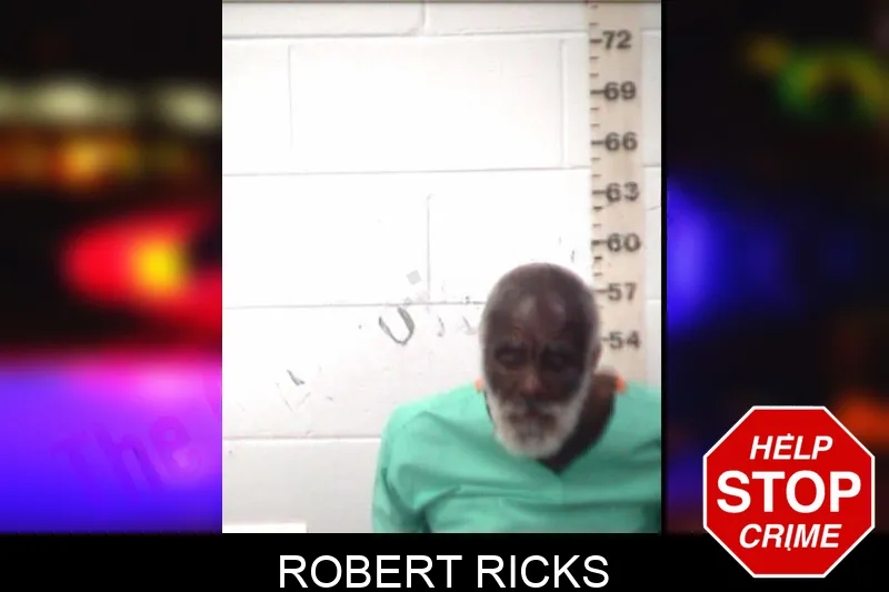 Robert Ricks mugshot