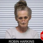 Robin Harkins mugshot