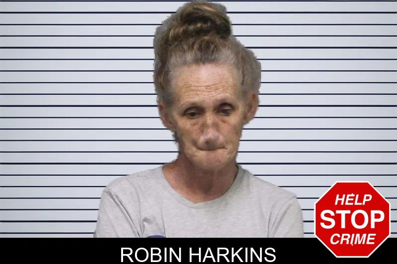 Robin Harkins mugshot
