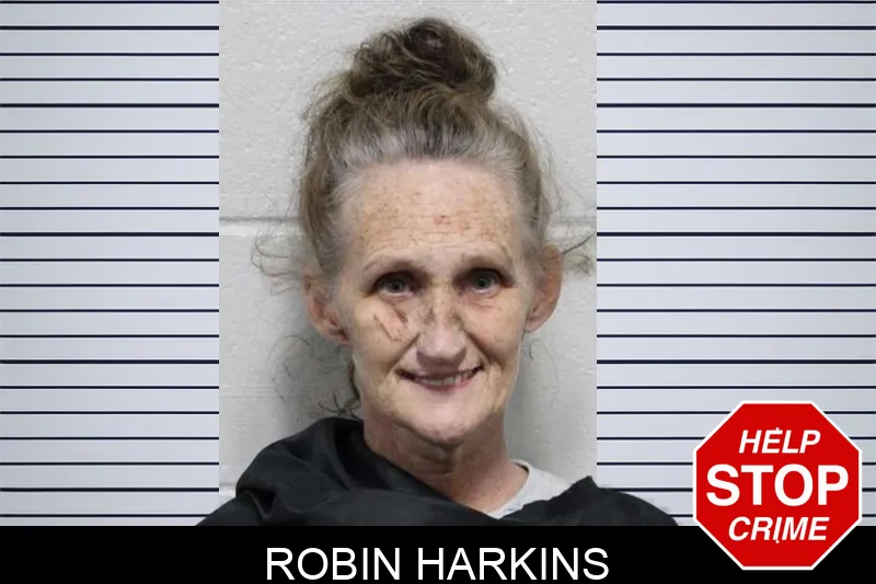 Robin Harkins mugshot