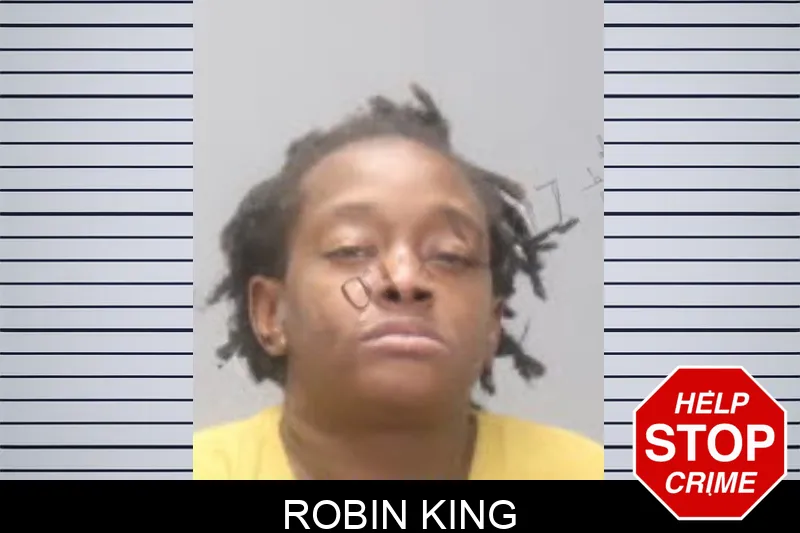 Robin King mugshot