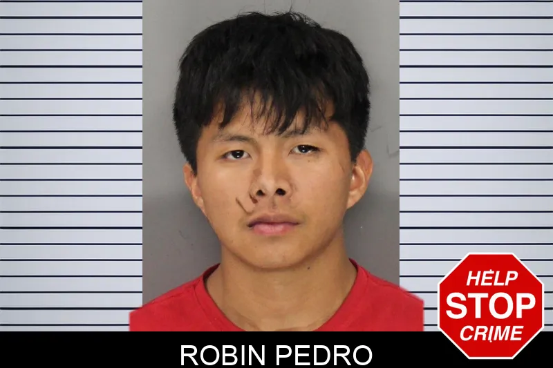 Robin Pedro mugshot – Cobb County , Georgia Robin Pedro mugshot