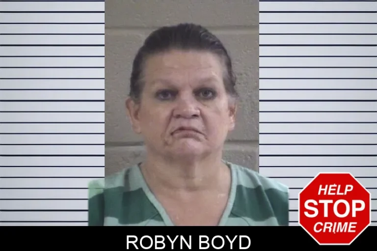 Robyn Boyd mugshot – Whitfield County , Georgia Robyn Boyd