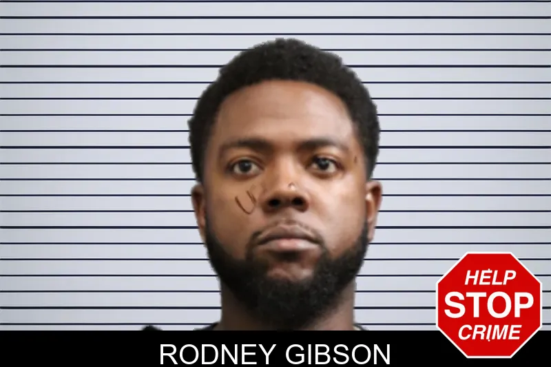 Rodney Gibson mugshot – Forsyth County , Georgia Rodney Gibson mugshot
