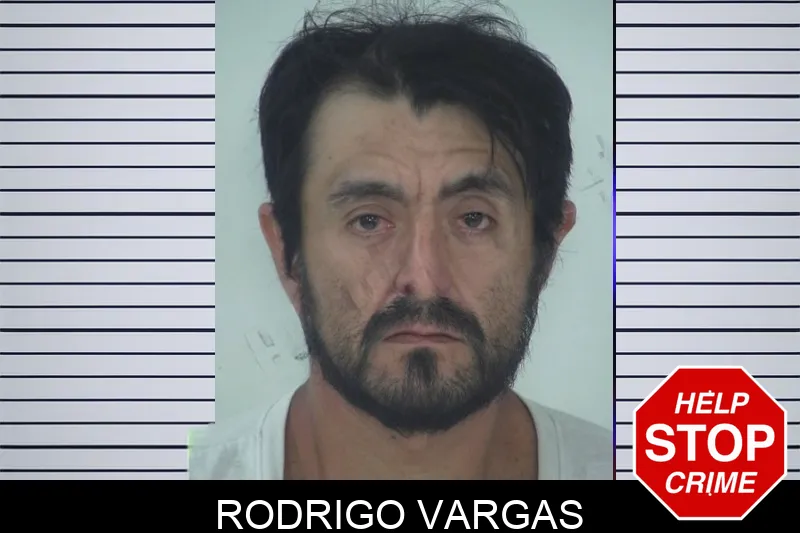 Rodrigo Vargas mugshot – Fayette County , Georgia Rodrigo Vargas mugshot