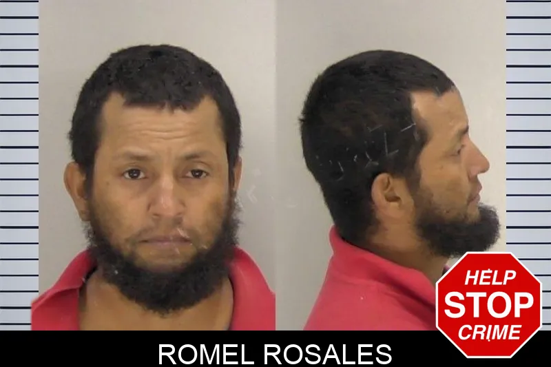 Romel Rosales mugshot