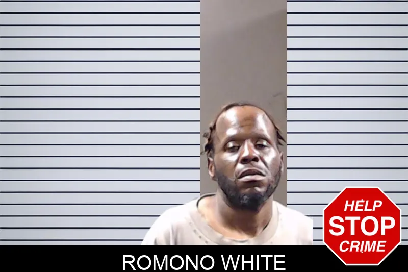 Romono White mugshot – DeKalb County , Georgia Romono White mugshot