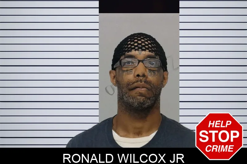 Ronald Wilcox Jr mugshot