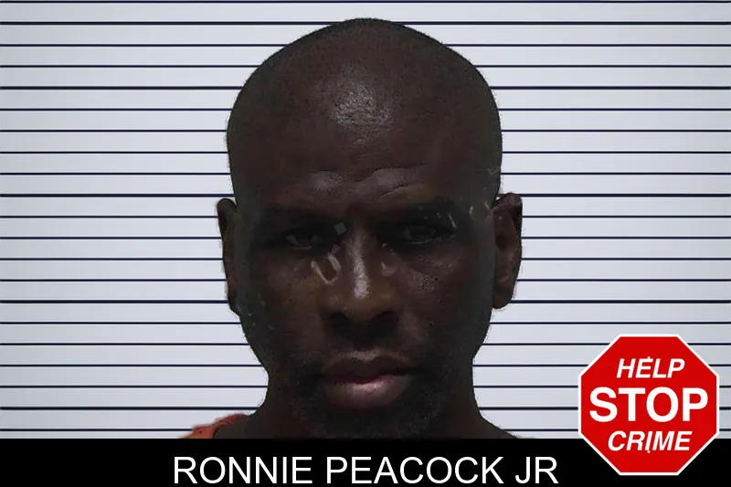 Ronnie Peacock Jr mugshot
