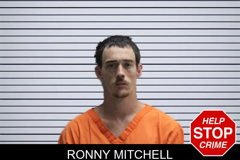 Ronny Mitchell mugshot