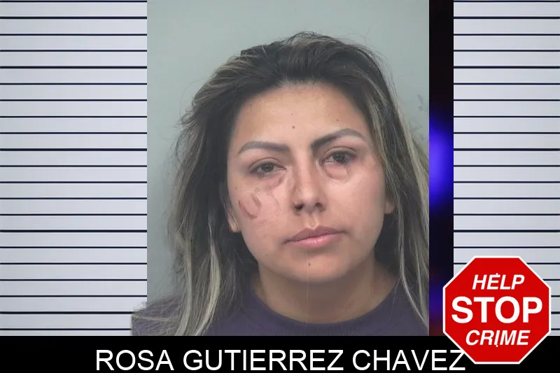 Rosa Gutierrez Chavez mugshot