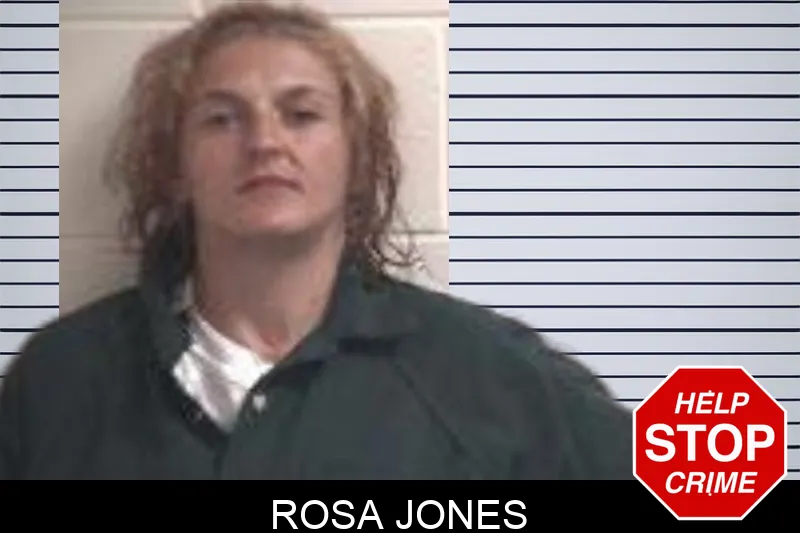 Rosa Jones mugshot – Henry County , Georgia Rosa Jones mugshot