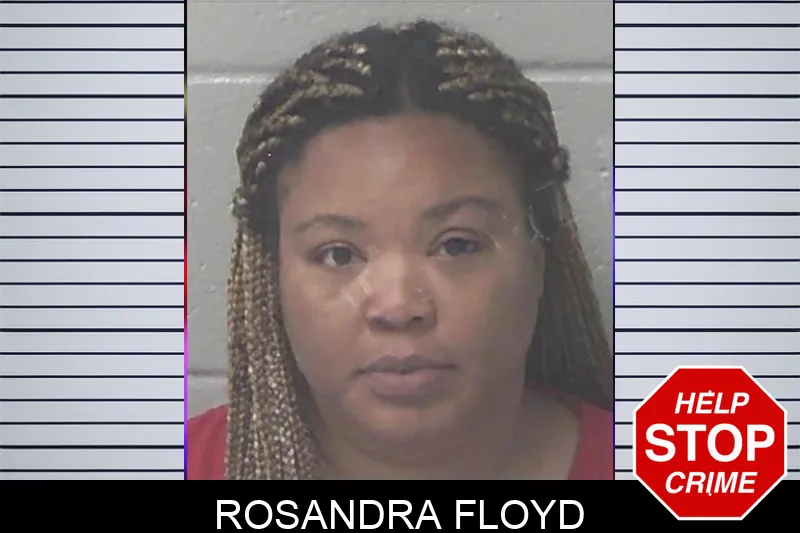 Rosandra Floyd mugshot – Newton County , Georgia Rosandra Floyd mugshot