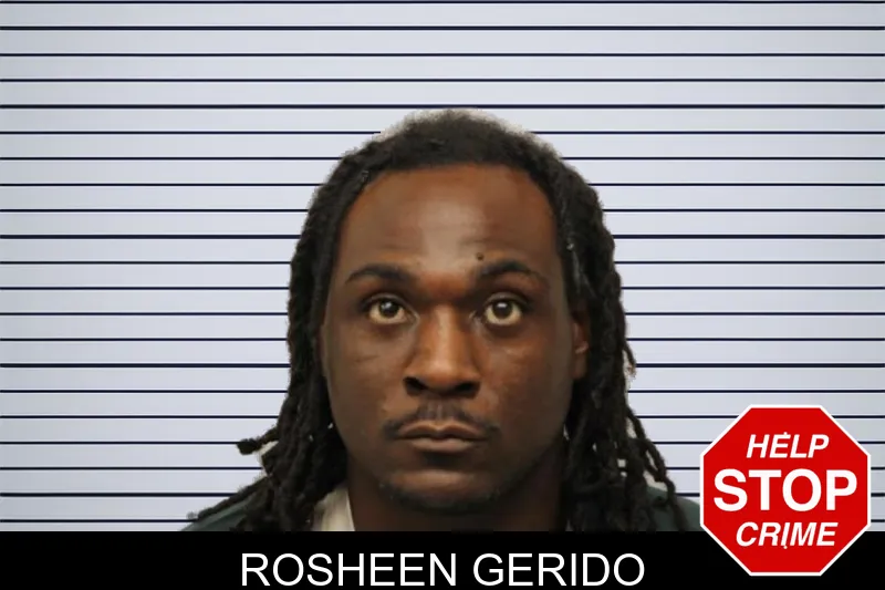 Rosheen Gerido mugshot