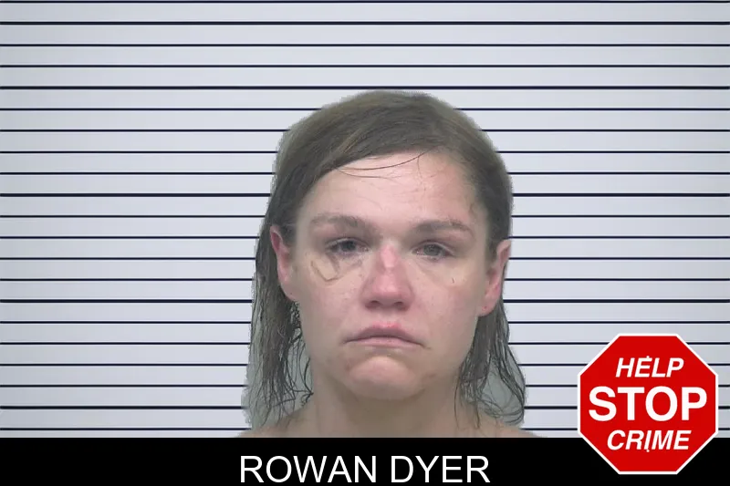 Rowan Dyer mugshot – Gwinnett County , Georgia Rowan Dyer mugshot
