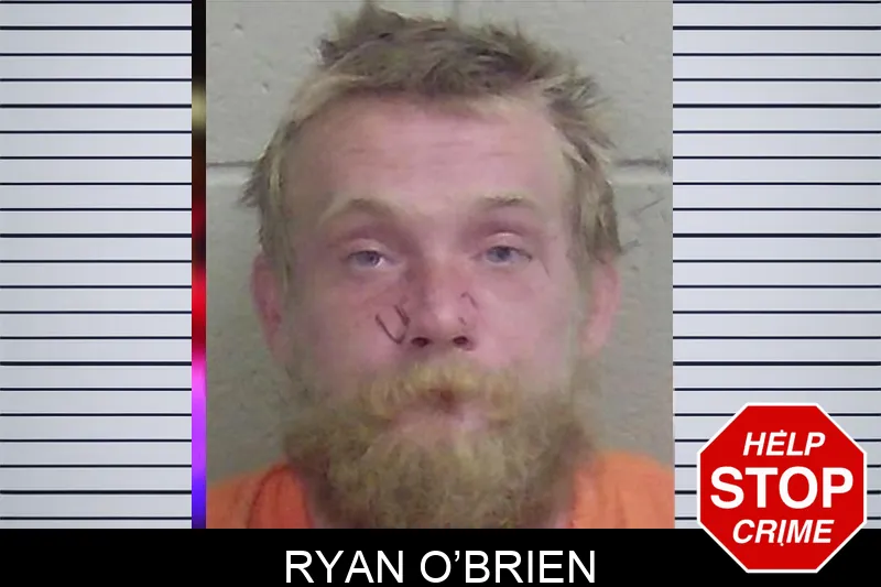 Ryan O’Brien mugshot – Wayne County , Georgia Ryan O’Brien mugshot