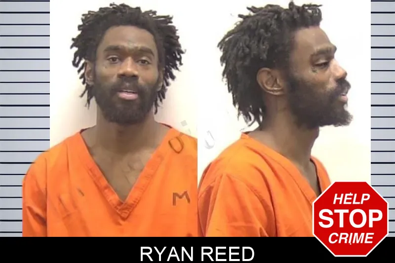 Ryan Reed mugshot