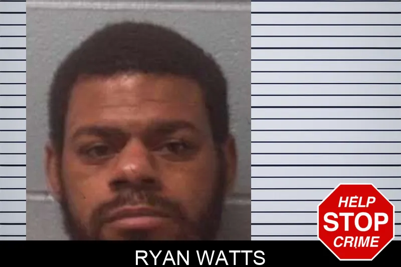 Ryan Watts mugshot