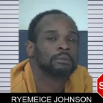 Ryemeice Johnson mugshot – Fayette County , Georgia Ryemeice Johnson mugshot
