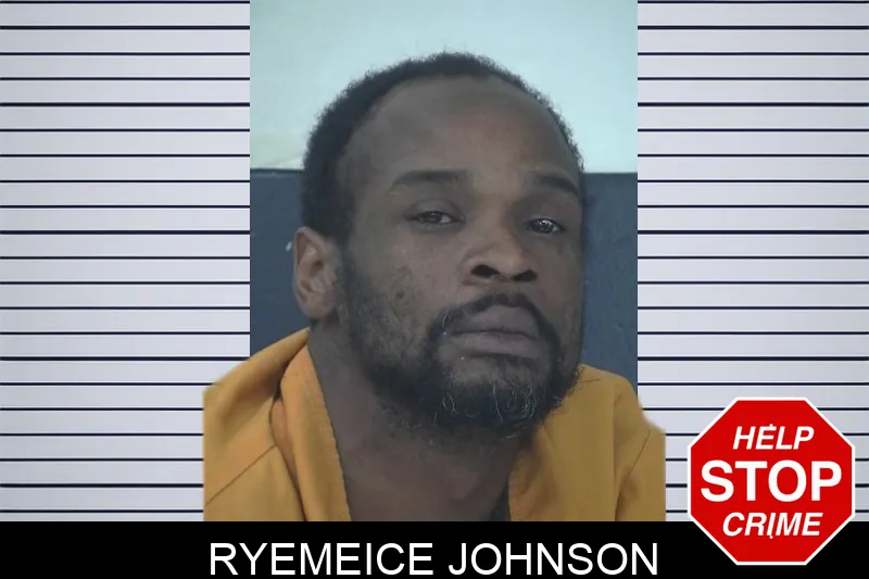 Ryemeice Johnson mugshot – Fayette County , Georgia Ryemeice Johnson mugshot