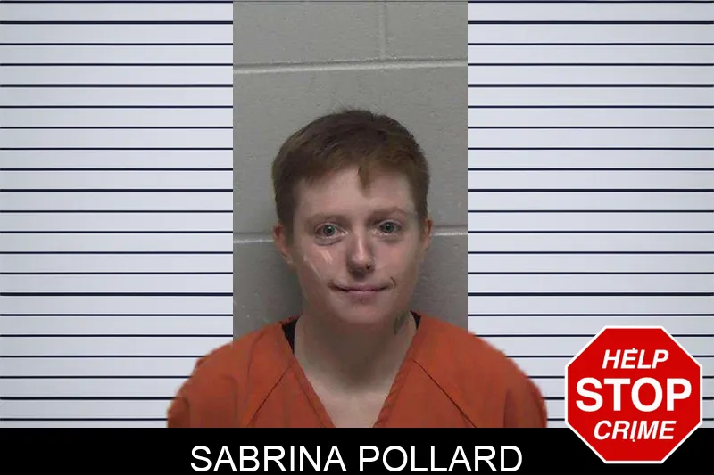 Sabrina Pollard mugshot