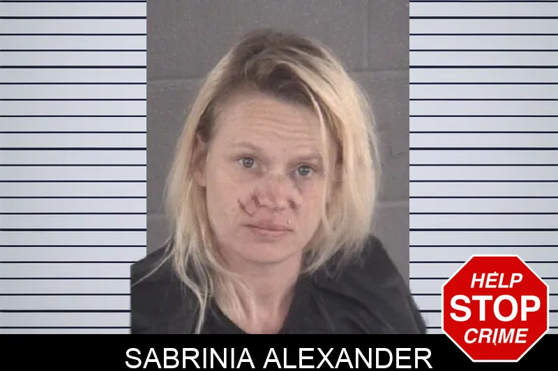 Sabrinia Alexander mugshot – Spalding County , Georgia Sabrinia Alexander mugshot