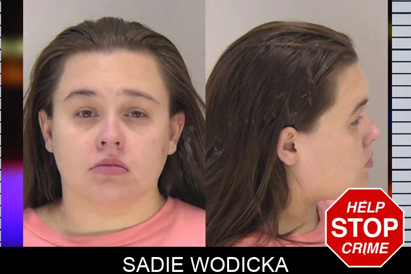 Sadie Wodicka mugshot