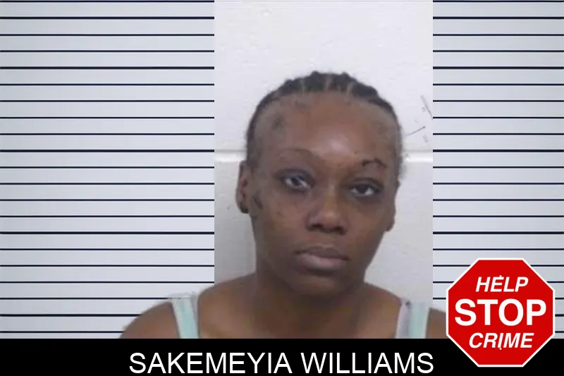Sakemeyia Williams mugshot – Washington County , Georgia Sakemeyia Williams mugshot