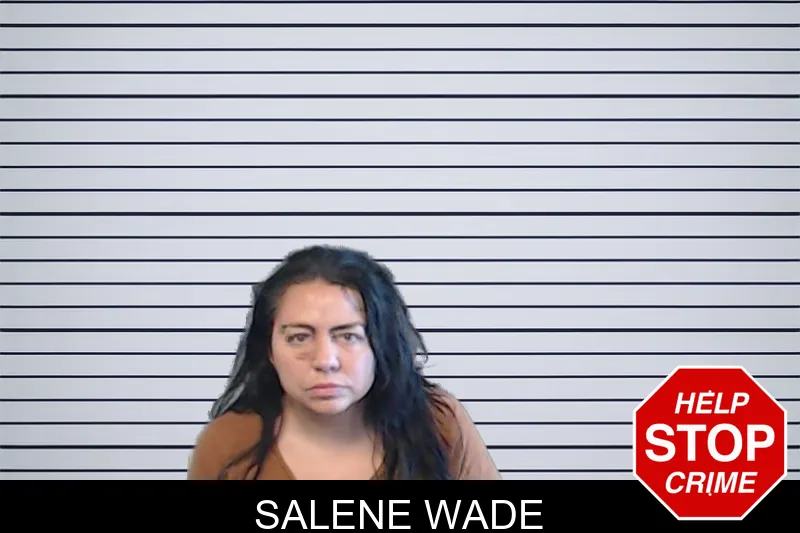 Salene Wade mugshot – DeKalb County , Georgia Salene Wade mugshot