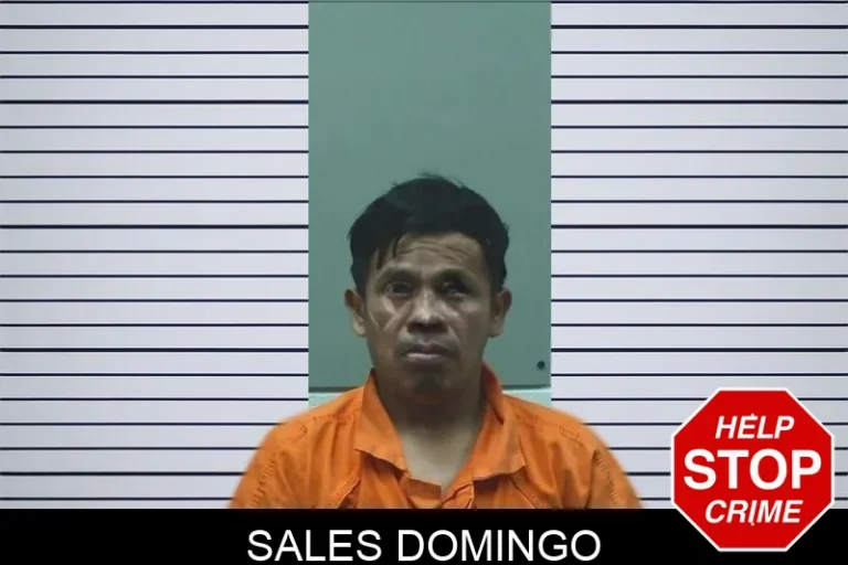 Sales Domingo