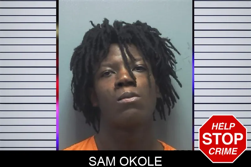 Sam Okole mugshot