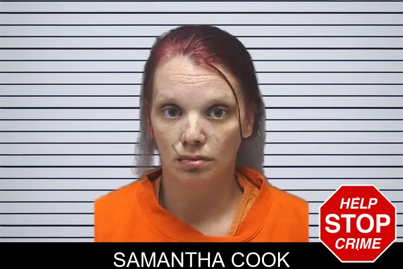 Samantha Cook mugshot