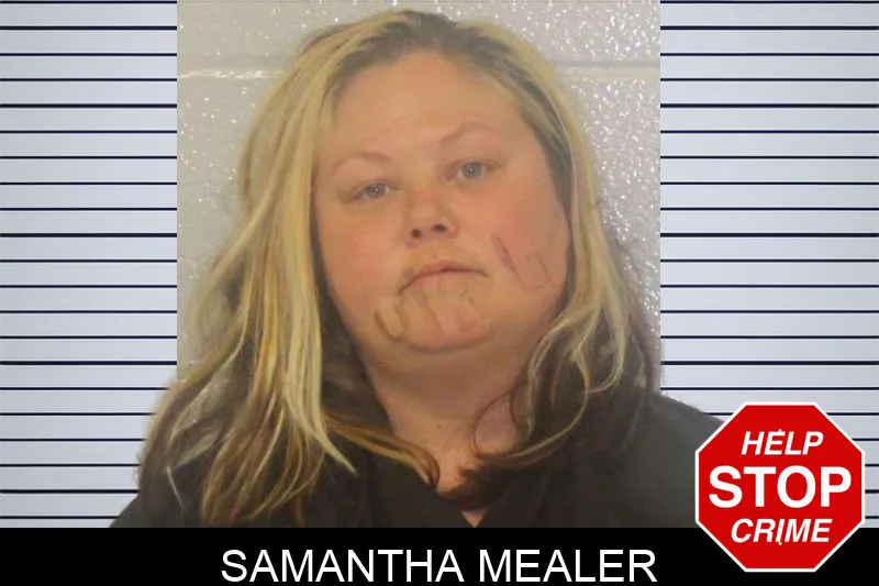 Samantha Mealer mugshot