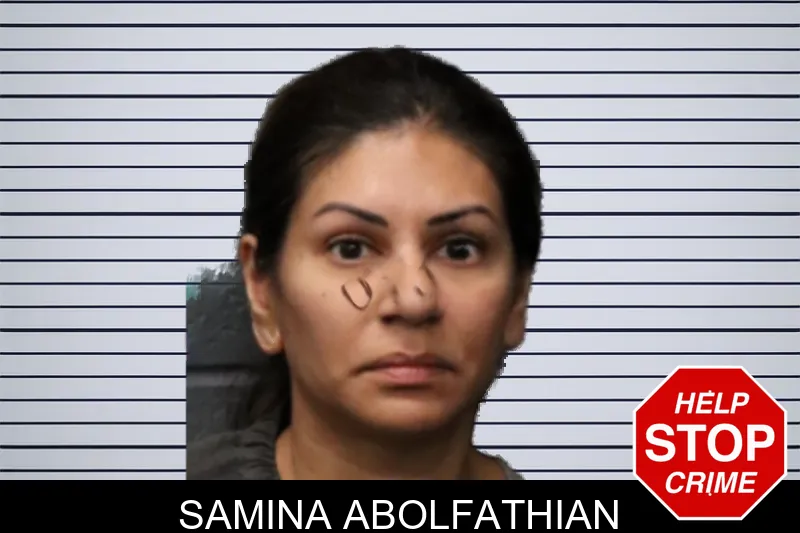 Samina Abolfathian mugshot – Forsyth County , Georgia Samina Abolfathian mugshot