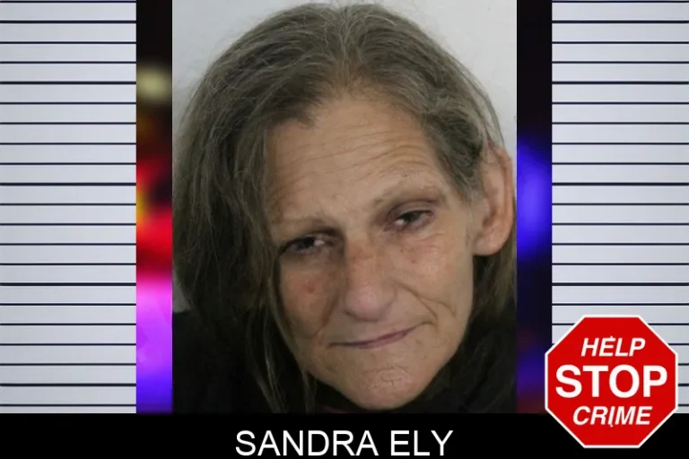 Sandra Ely mugshot – Floyd County , Georgia Sandra Ely