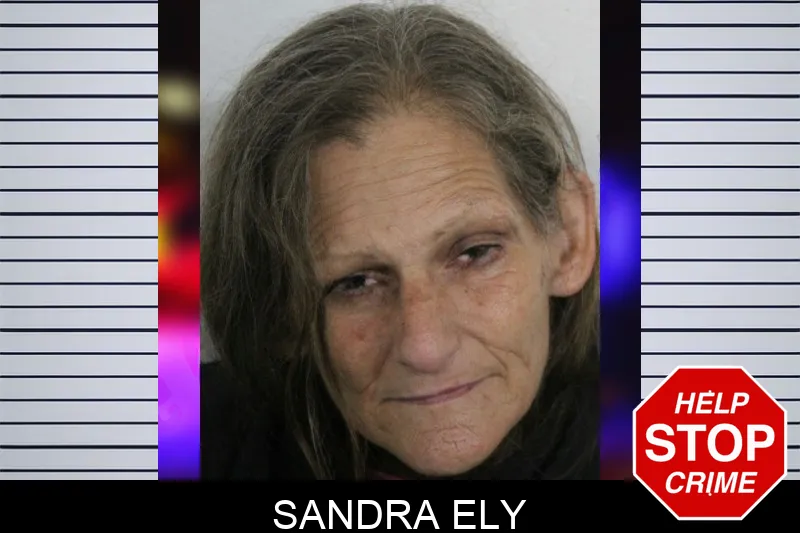 Sandra Ely mugshot