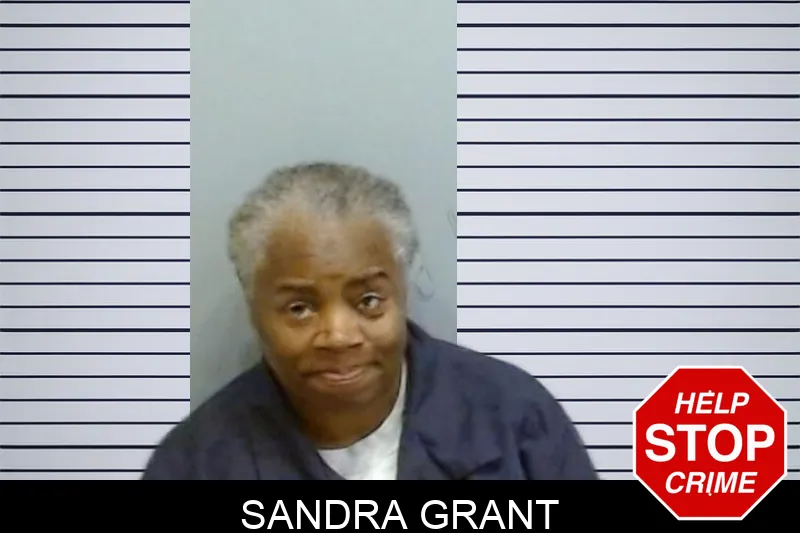 Sandra Grant mugshot – Fulton County , Georgia Sandra Grant mugshot