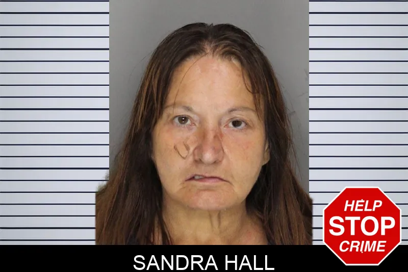 Sandra Hall mugshot
