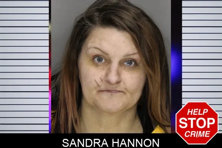 Sandra Hannon mugshot – Cobb County , Georgia Sandra Hannon