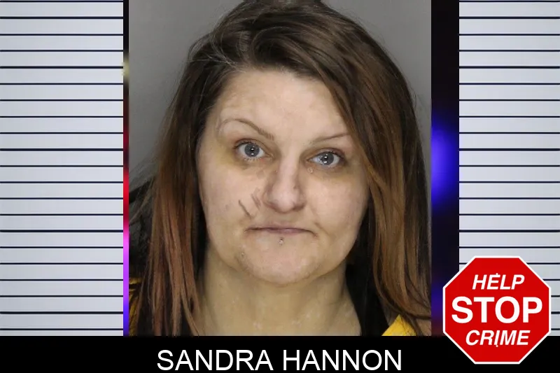 Sandra Hannon mugshot