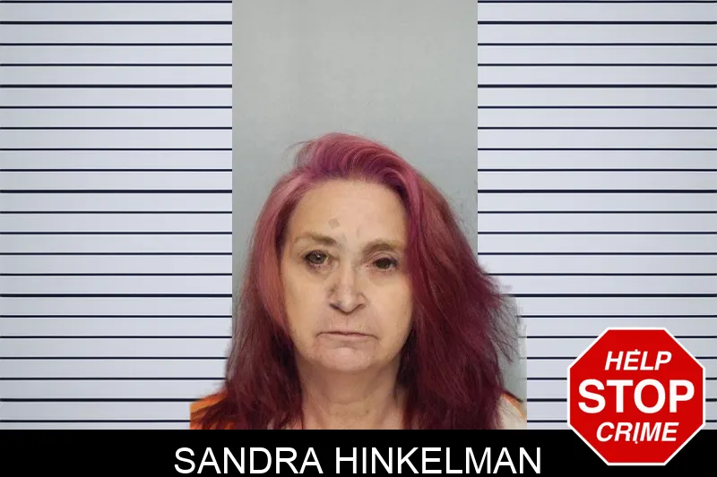 Sandra Hinkelman mugshot